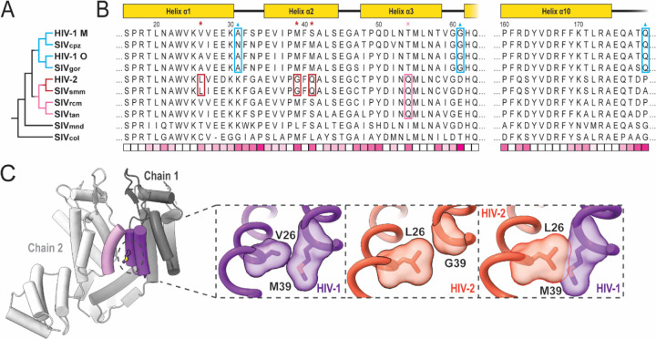 Figure 5: