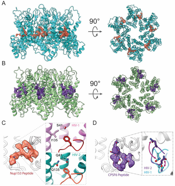 Figure 4: