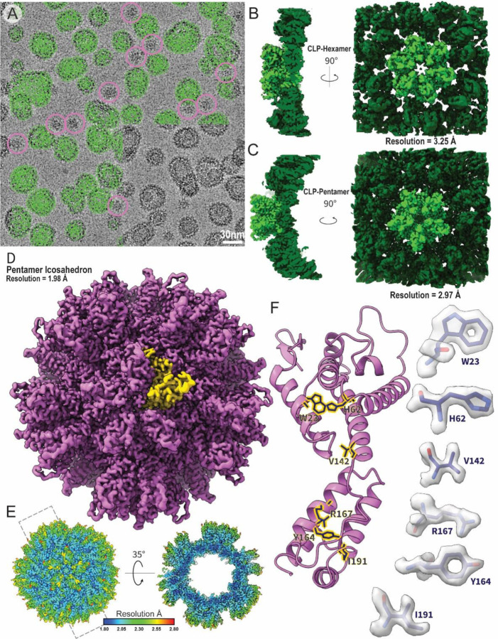 Figure 1: