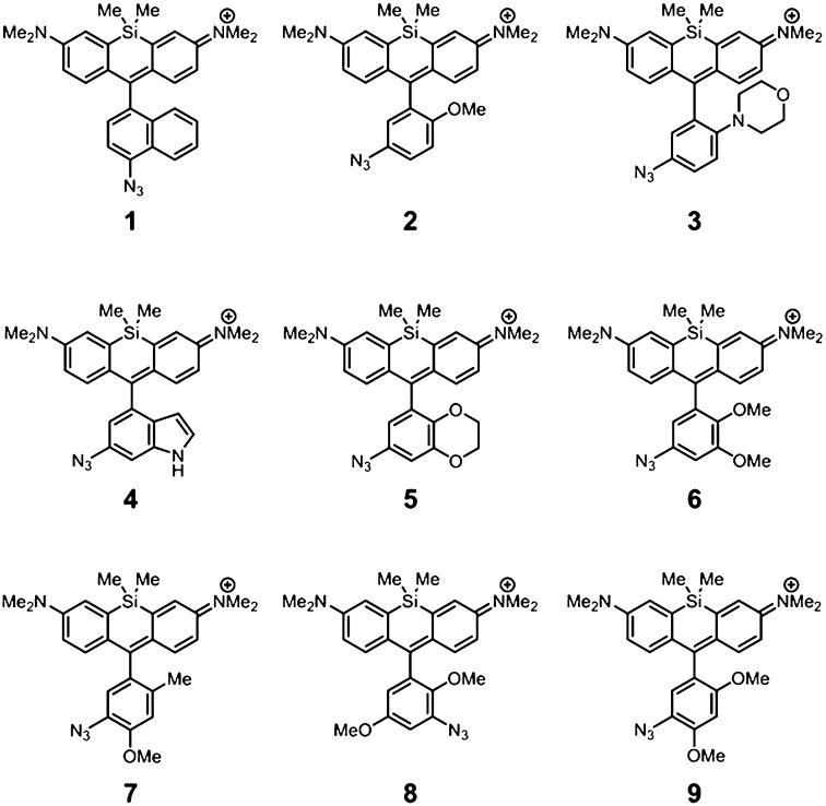 Fig. 3.