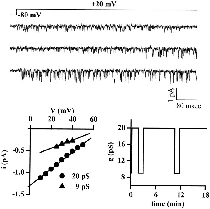 Fig. 5.