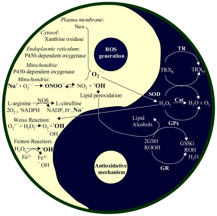 Figure 1.