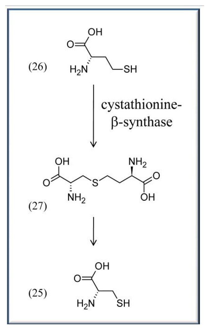 Scheme 3