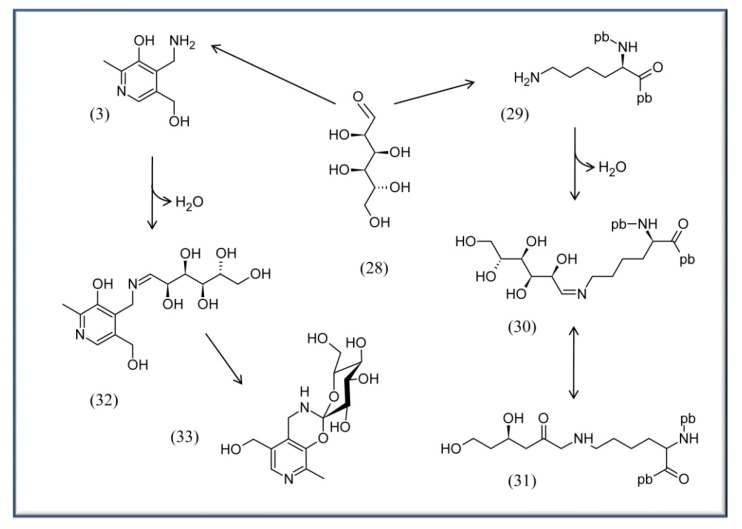 Scheme 4