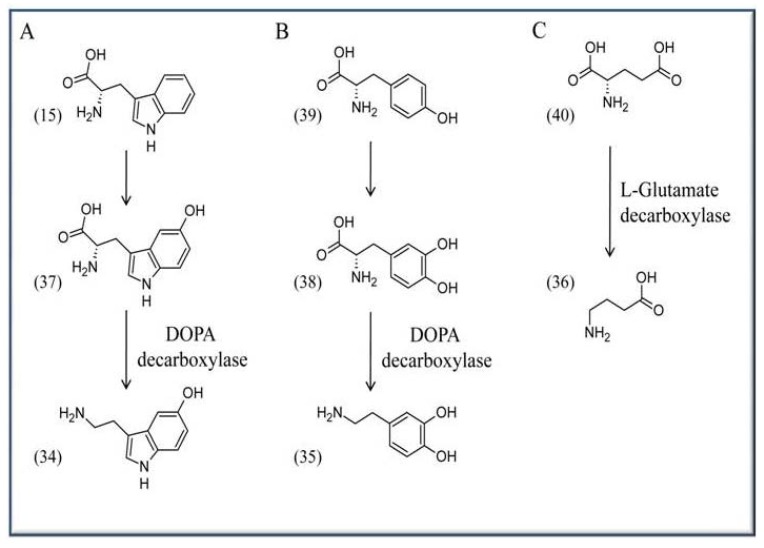 Scheme 5