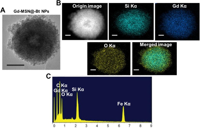 Figure 3.