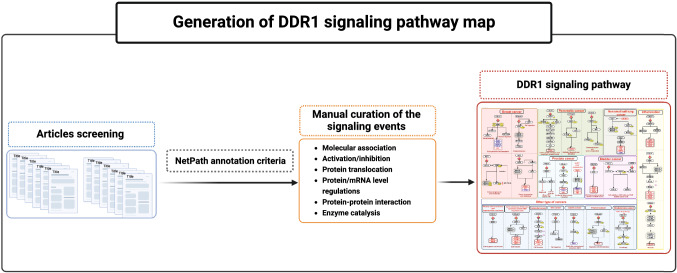 graphic file with name 12079_2022_714_Figa_HTML.jpg