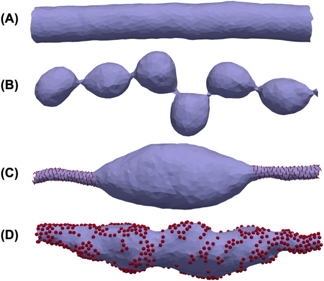 Fig. 5