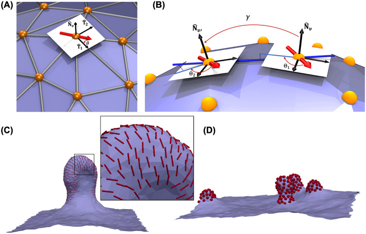 Fig. 7