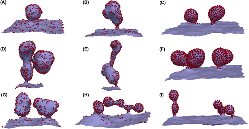 Fig. 2