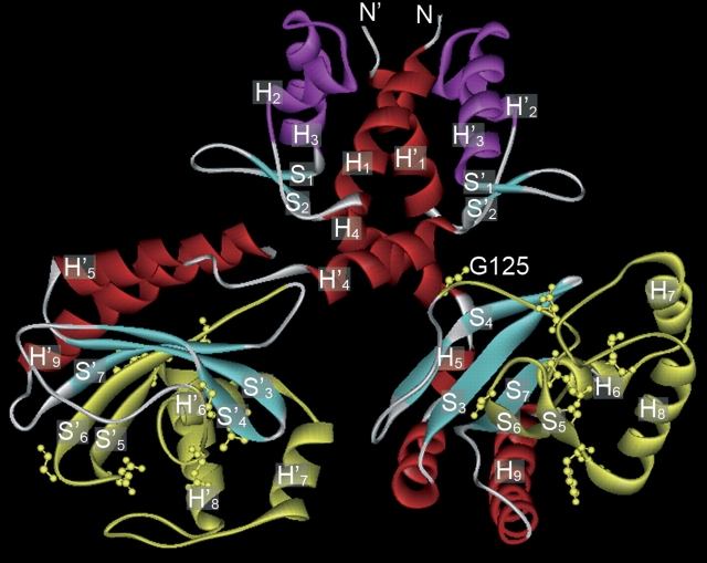 Figure 2.