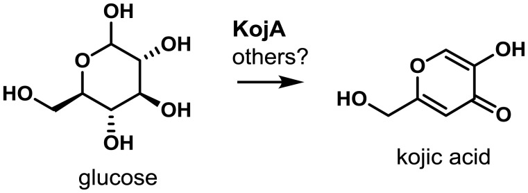 Fig. 10