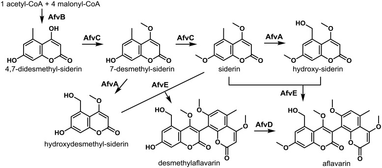 Fig. 5