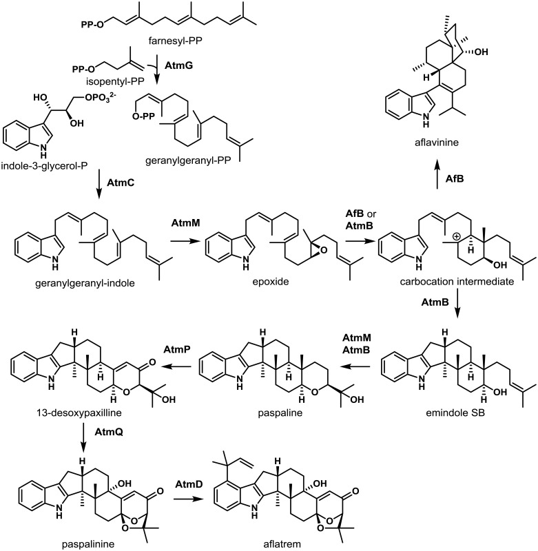 Fig. 7