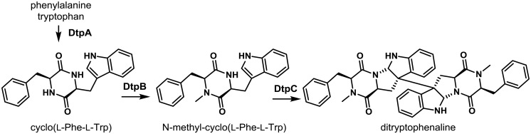 Fig. 9