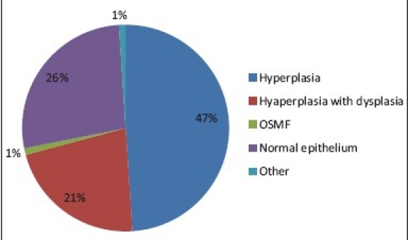 Graph 4