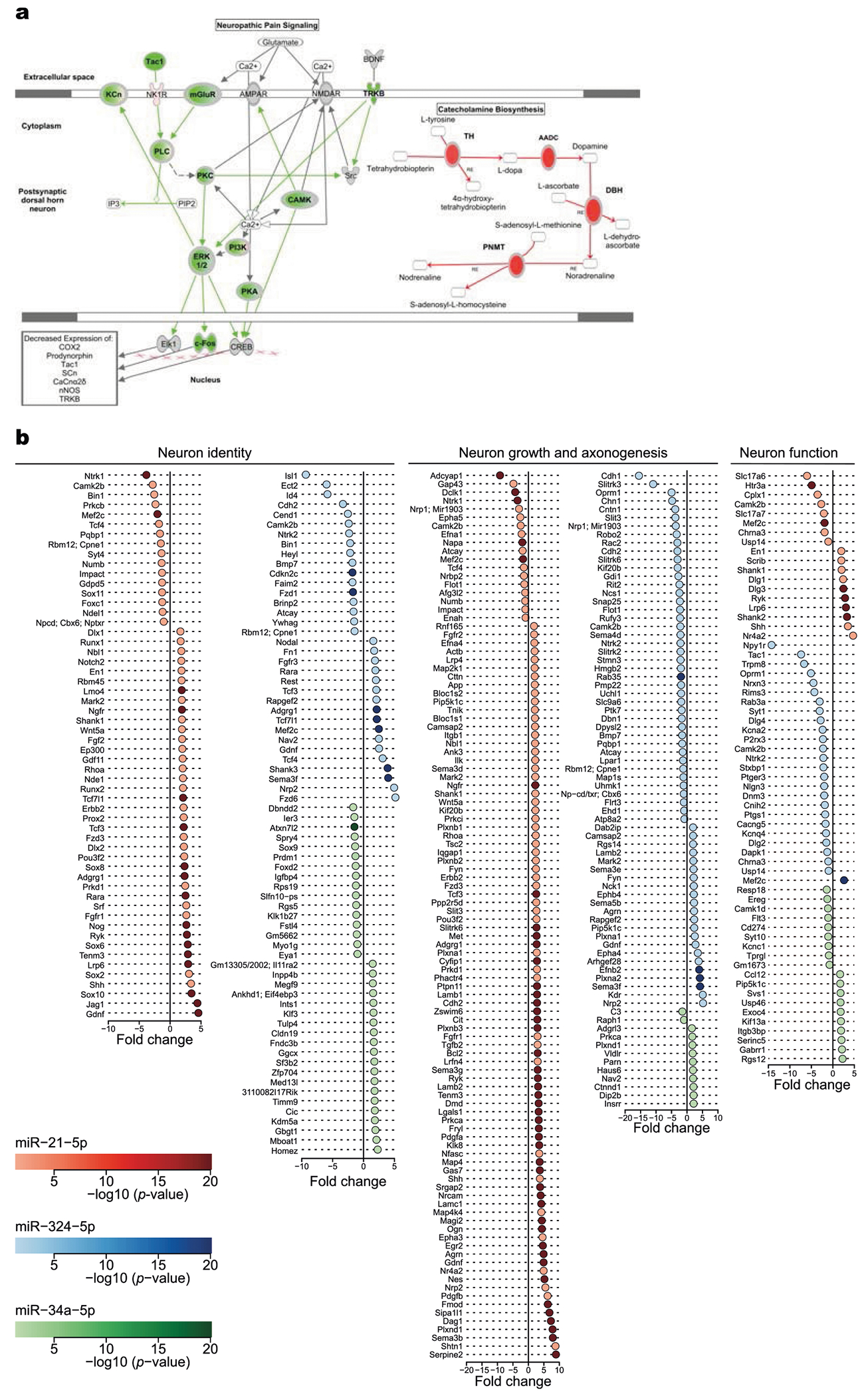 Extended Data Fig. 6 |