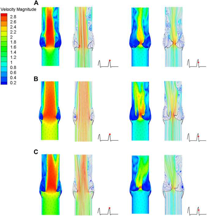 FIGURE 12