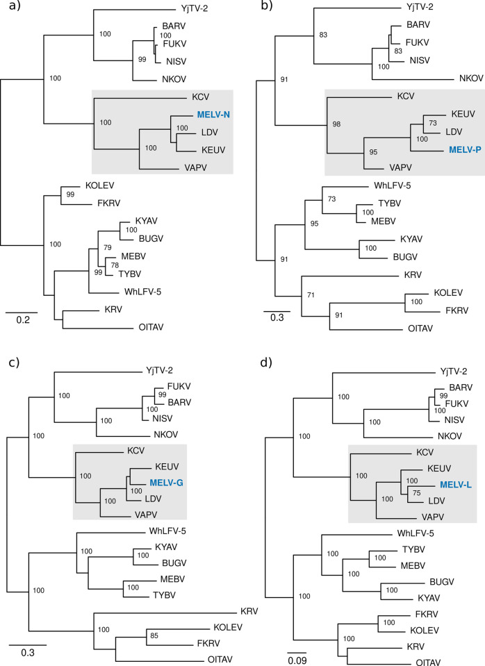 Fig 6