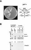 FIG. 1.