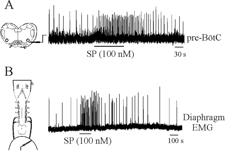 Figure 12.