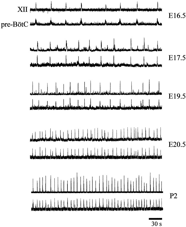 Figure 11.