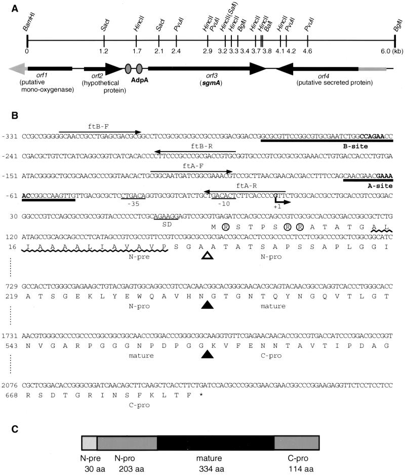 FIG. 2.