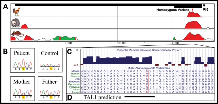 Figure 3.