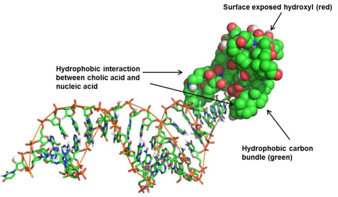 Figure 6