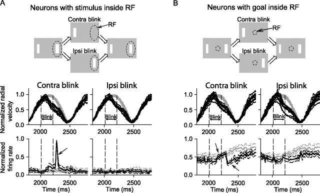 Figure 12.