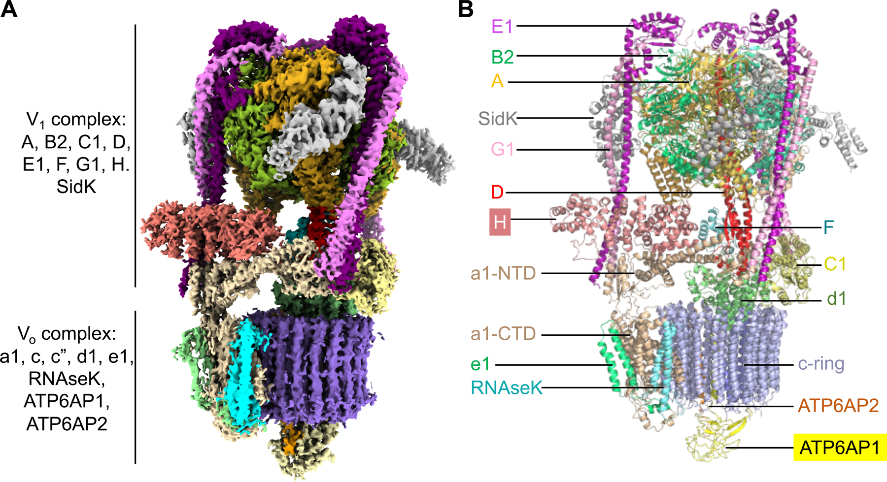 Figure 1.