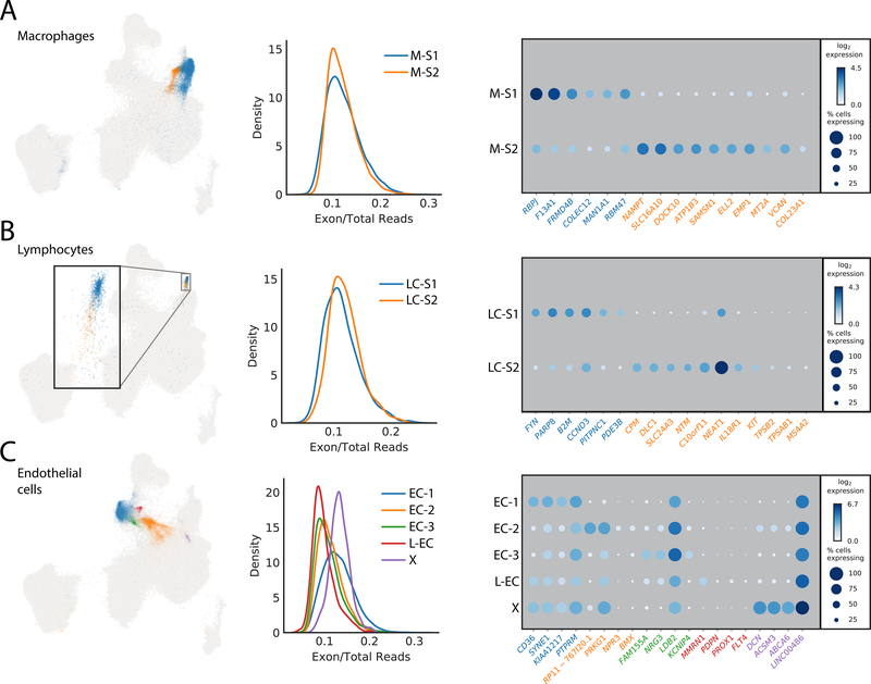 Figure 4: