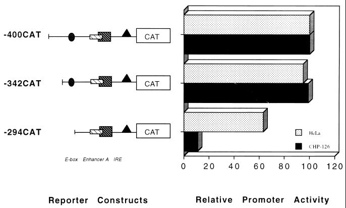 FIG. 8