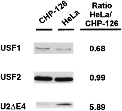 FIG. 7