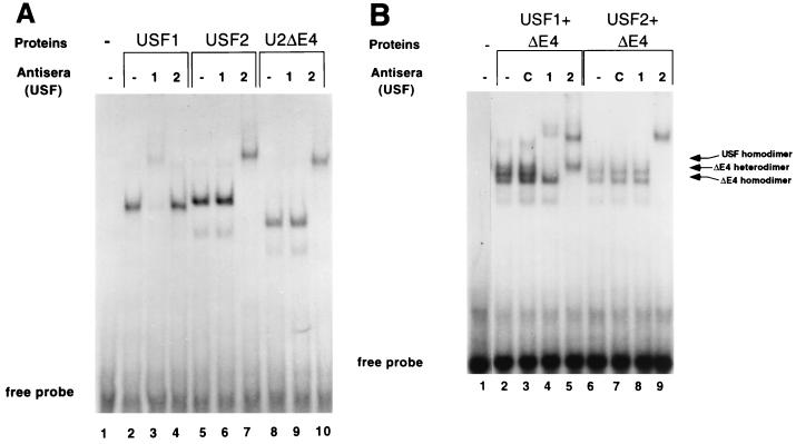 FIG. 5