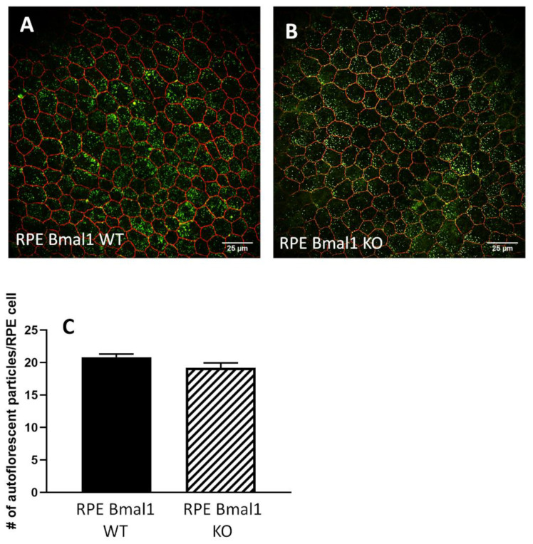 Figure 10