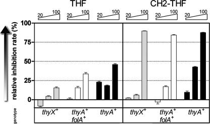 FIG. 5.