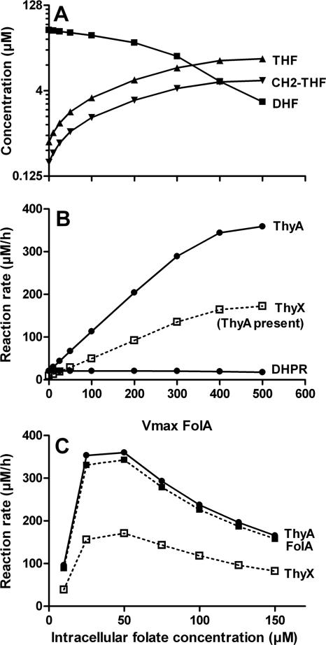 FIG. 6.