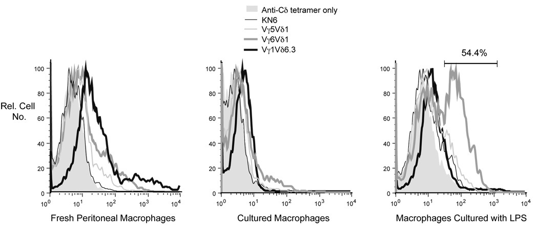 Fig. 3