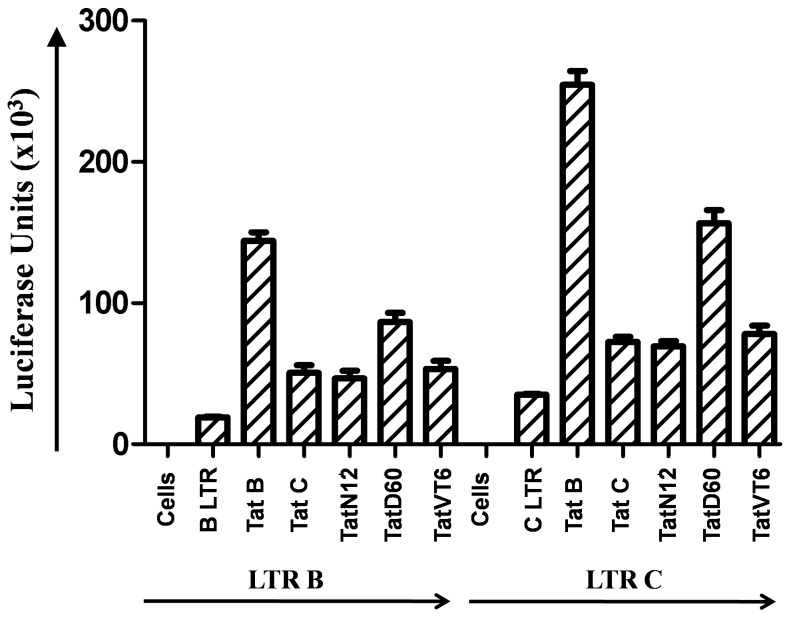 Figure 6