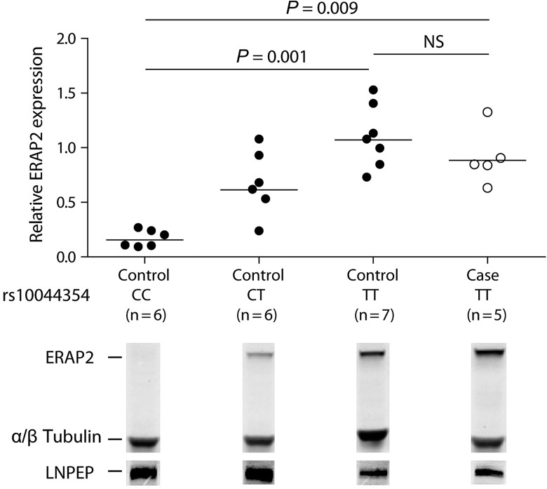 Figure 2.