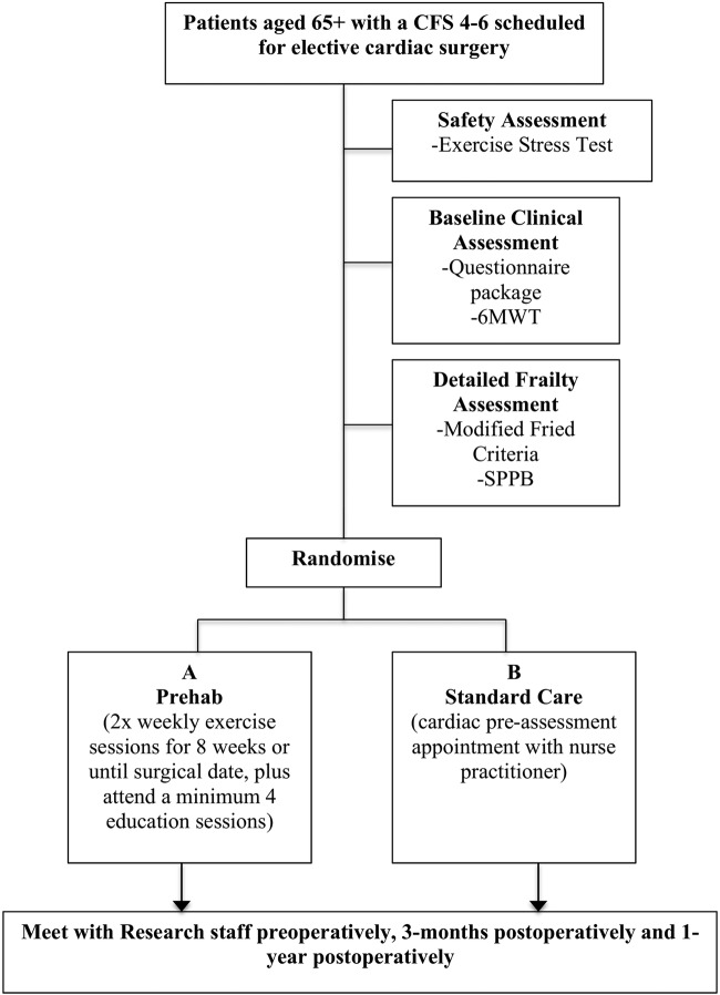 Figure 1