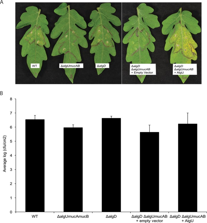 FIG 1