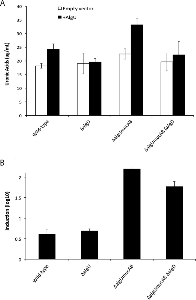 FIG 2