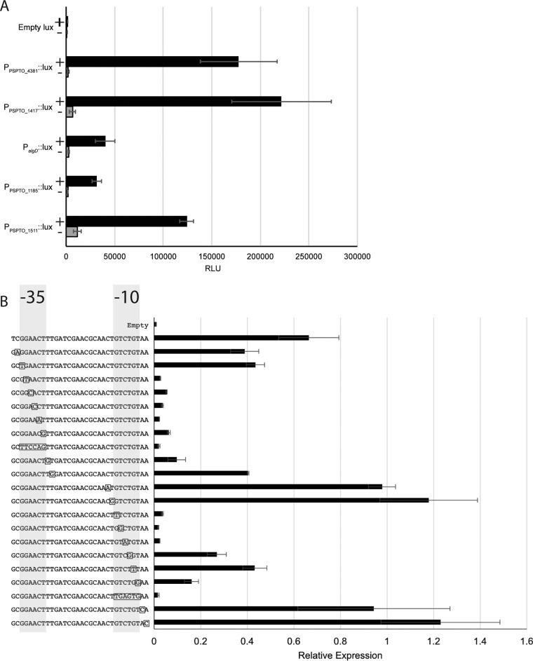 FIG 6