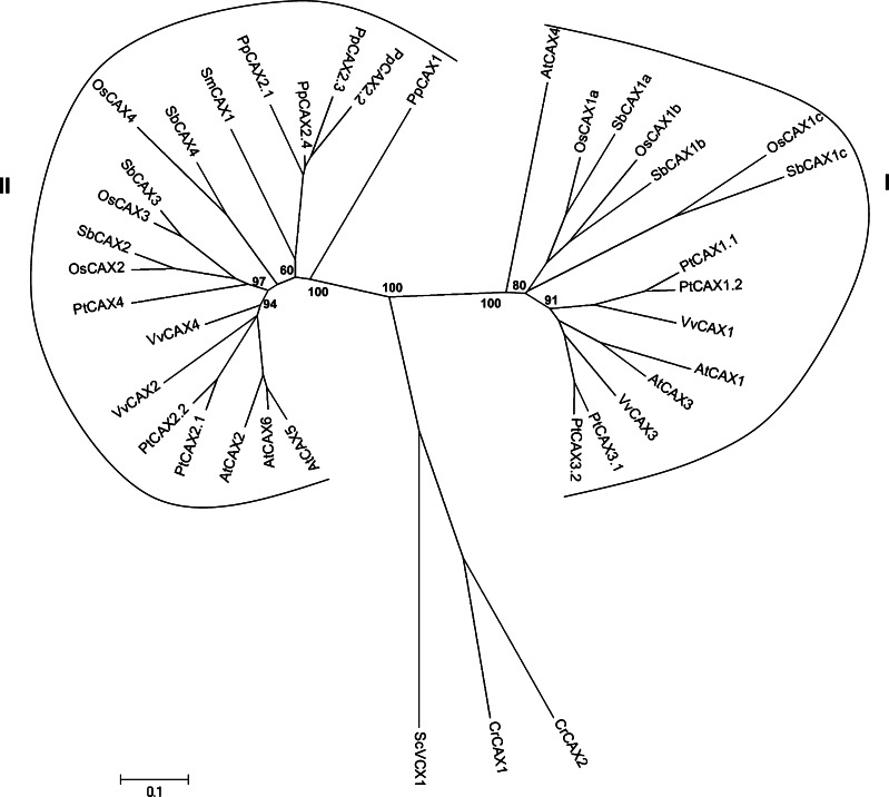 Fig. 7