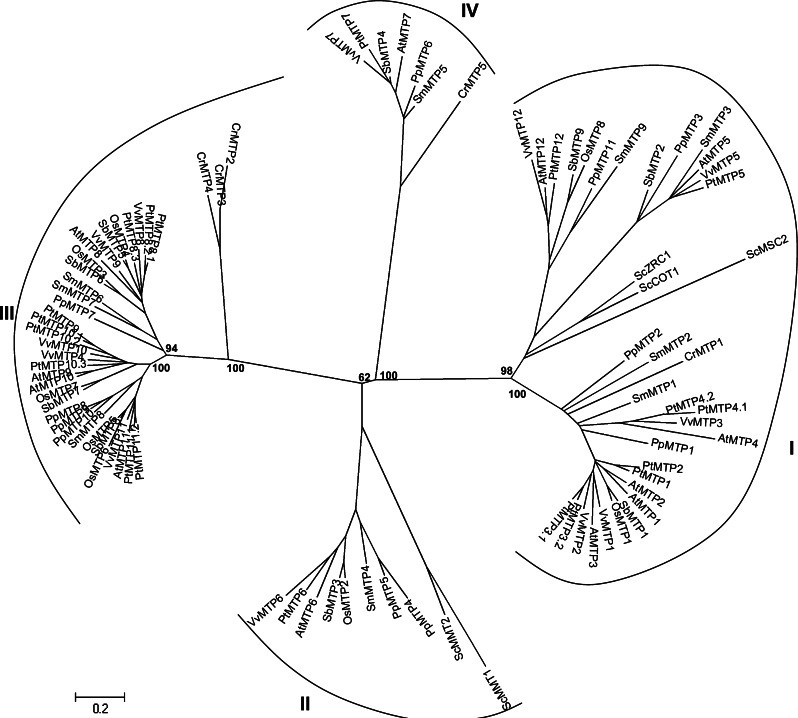 Fig. 4