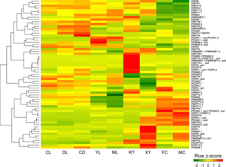 Fig. 3