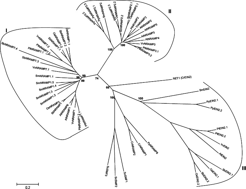 Fig. 8