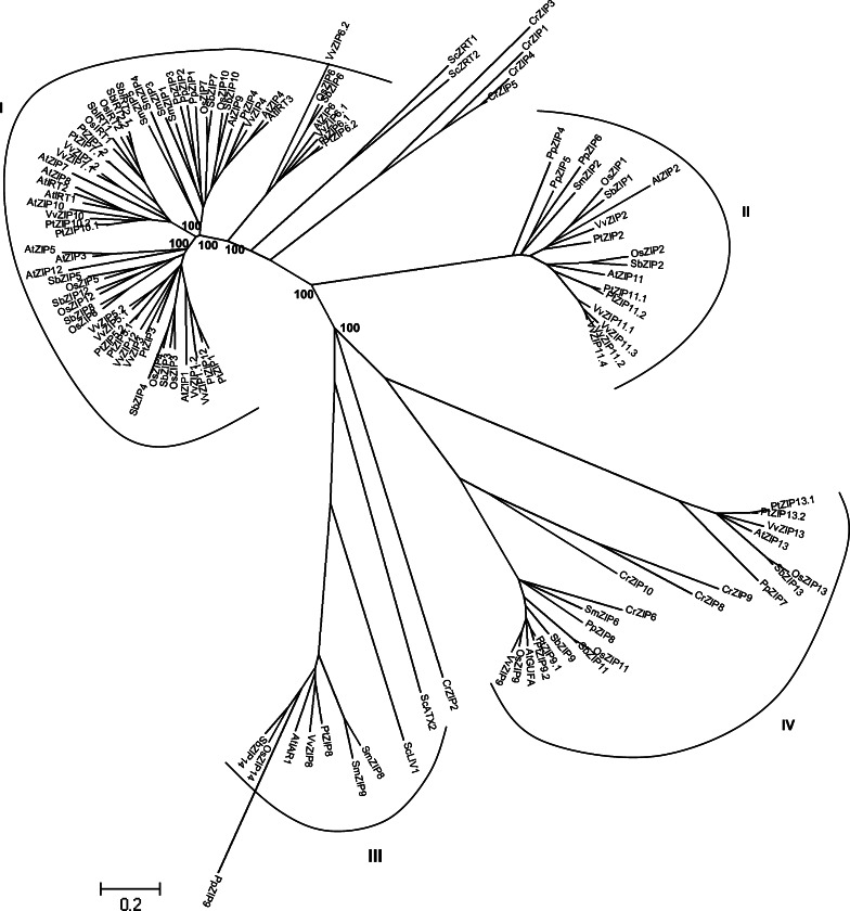 Fig. 5